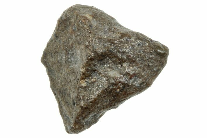 Lunar Meteorite ( g) - NWA #264150